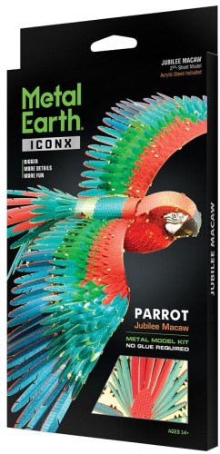parrot_1.jpg