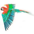 0009462_iconx-parrot.jpeg