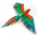 0009463_iconx-parrot.jpeg