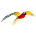 0009464_iconx-parrot.jpeg