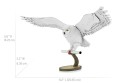 0015838_hedwig.jpeg