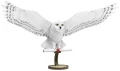 0015831_hedwig.webp