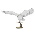 0015832_hedwig.jpeg