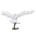0015834_hedwig.jpeg