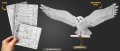 0015837_hedwig.jpeg