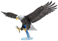 0016262_american-bald-eagle.png