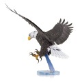 0016263_american-bald-eagle.jpeg