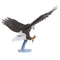 0016265_american-bald-eagle.jpeg