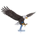 0016266_american-bald-eagle.jpeg