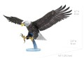 0016269_american-bald-eagle.jpeg