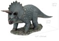 0016289_triceratops.jpeg