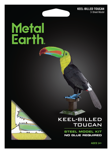 ME1020 - Tucan_1.png