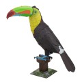 0020341_keel-billed-toucan.jpeg
