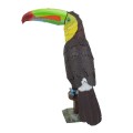 0020342_keel-billed-toucan.jpeg