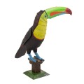 0020344_keel-billed-toucan.jpeg