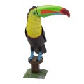 0020345_keel-billed-toucan.jpeg