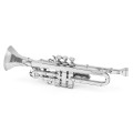 0021012_trumpet.jpeg