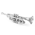 0021015_trumpet.jpeg