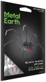 0017157_black-widow-spider.jpeg
