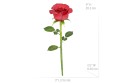 0017864_red-rose.jpeg