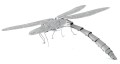 Ważka_Dragonfly_metalearth_pl_mms064_2.jpg
